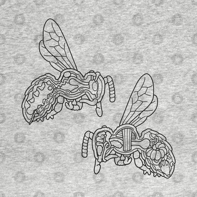 Line Drawing of Honey Bee Anatomy Illustration by taylorcustom